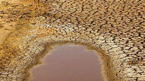 TOUGH TIMES: Seven more regions in Queensland have been drought declared, meaning more than 87 percent of the state is now officially in drought.