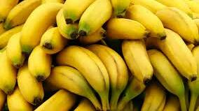 INDUSTRY PROTECTION: Almost $400,000 has been provided to assist with the closure of the banana farm in Far North Queensland infected with Panama TR4.