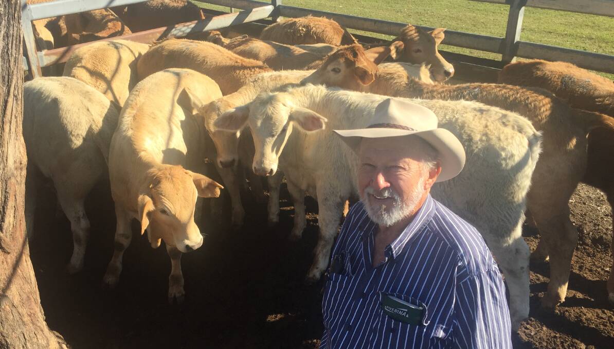  IN DEMAND: Sid Beutel, Patrick Estate, Lowood, made $1000 for his Charolais-cross steers.