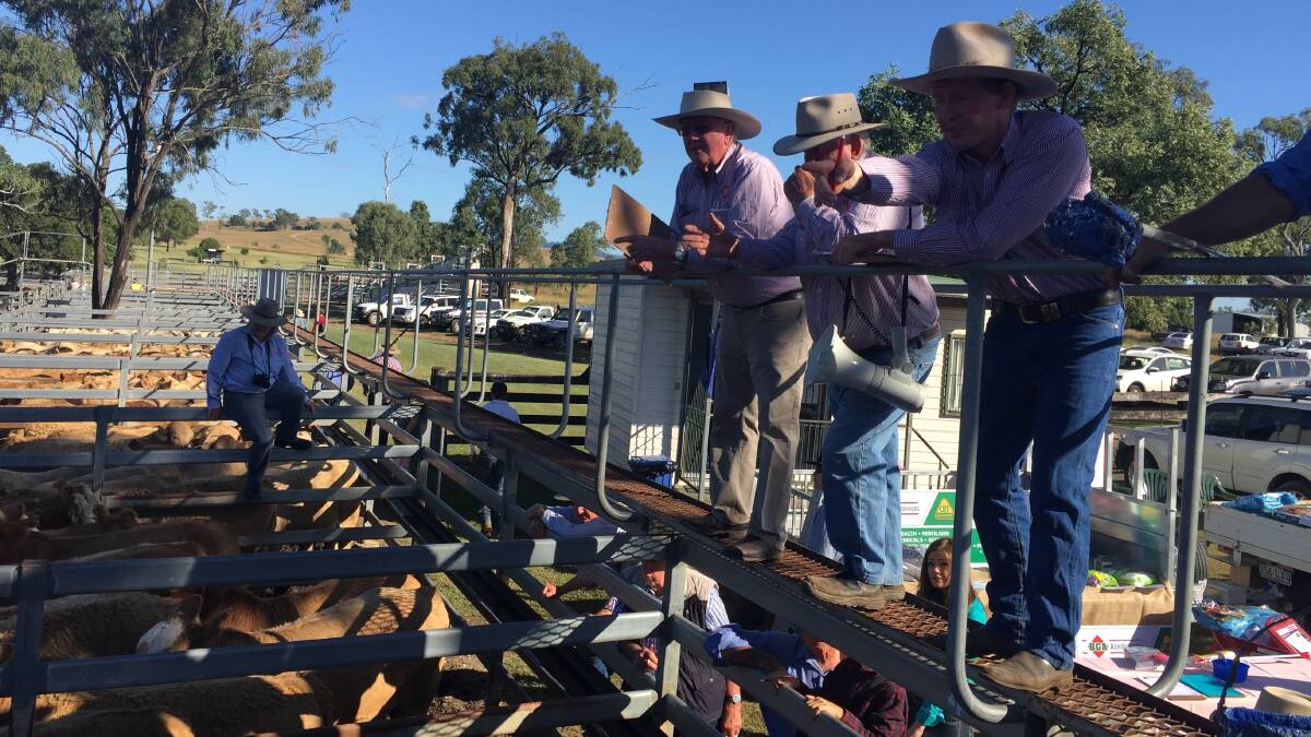 RISING MARKET: The Shepherdson and Boyd selling team in action at Toogoolawah.