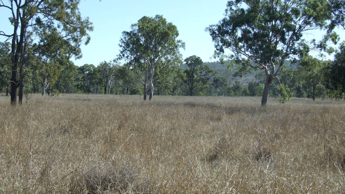 The 312 hectare Crows Nest property Nolan’s will be auctioned by Ray White Rural on September 15.