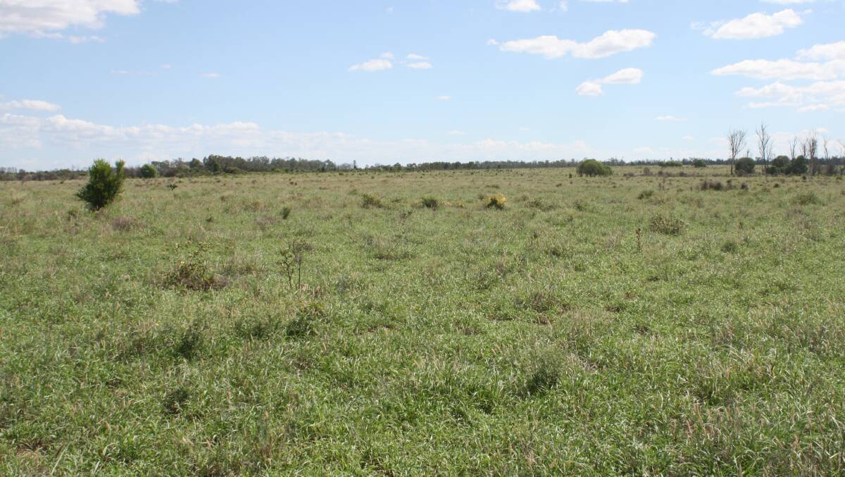 Murraway is located 52km west of Moura and covers 4080 hectares.