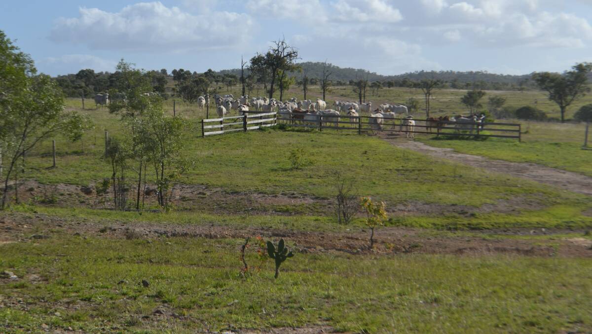 Central Qld aggregation asking $70m