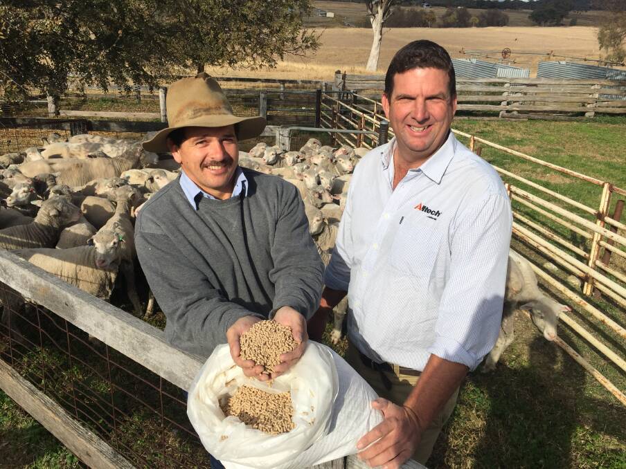 EFFICIENT NUTRITION: Ross Fuller, Rosehill, Inverell, and Toby Doak from Alltech, with Riverina pellets including the slow release nitrogen source Optisync. 