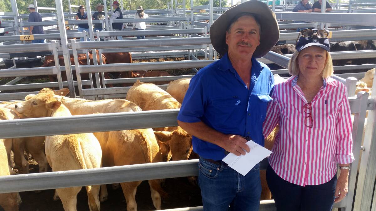 BEAUDESERT: David and Trish Trewin, Tru Investments, sold Charbray weaner steers for $1100.
