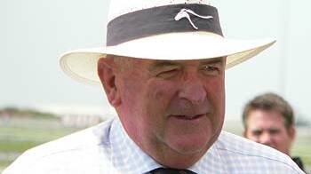 FRUSTRATED: Thoroughbred breeders association president Basil Nolan says is doomed under the Palaszczuk Government. 