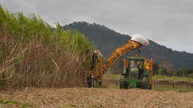 FULL STEAM AHEAD: Australia's 2017 sugarcane crush is officially underway with a 34 million tonne crop expected.