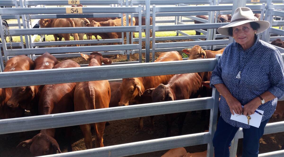 Yvonne Anderson, Albert River Wines, sold Droughtmaster weaner heifers for $920.