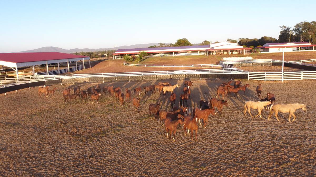 APRIL 6 AUCTION: Rockhampton district property Lonesome Dove is described as a once-in-a-lifetime opportunity to acquire a unique equine facility.