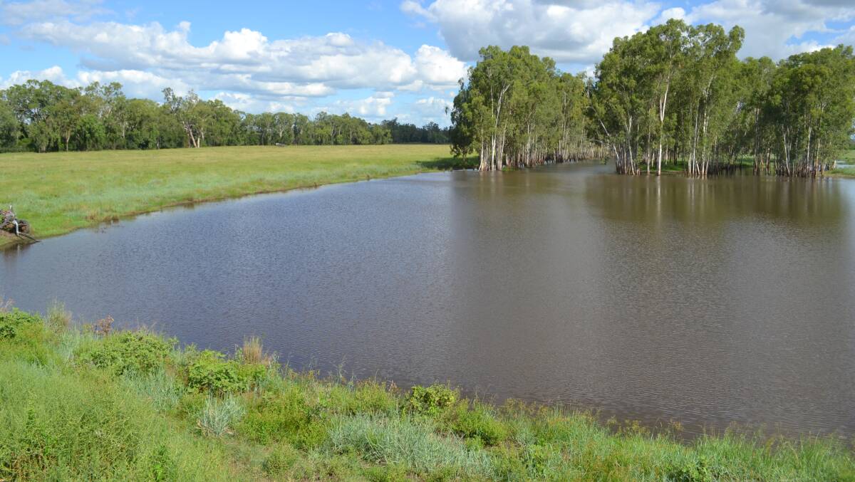 Water is a feature of the 301 hectare Biloela property Kershaw.