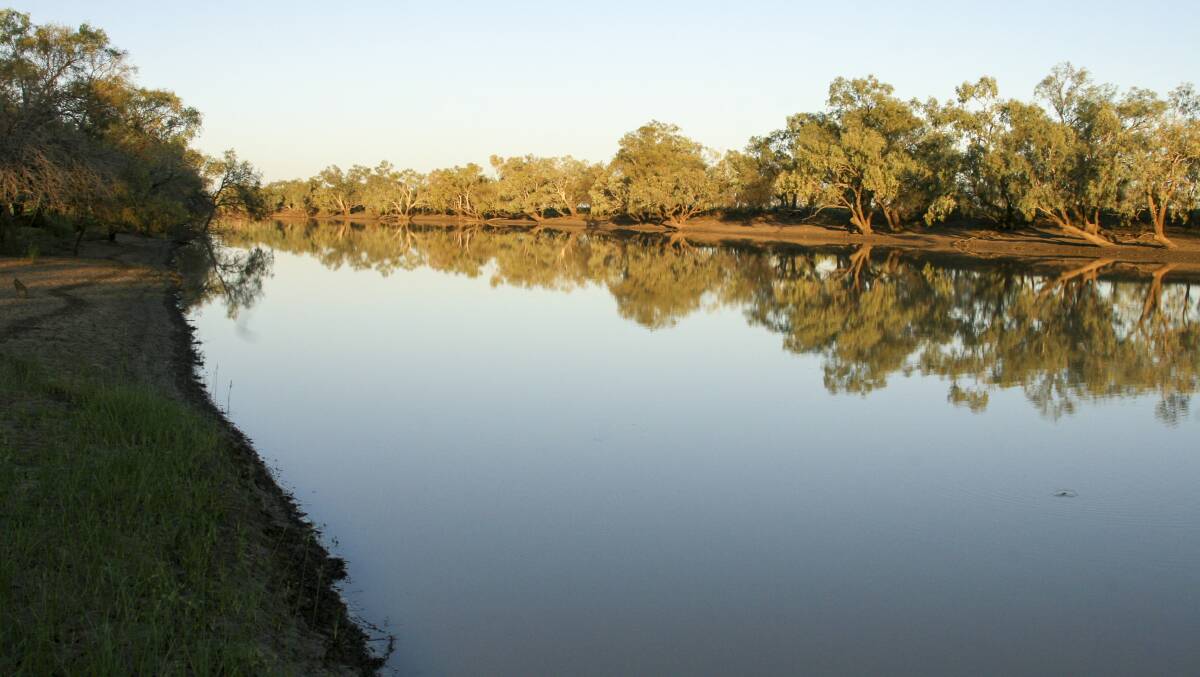 Dillulla features the iconic Galah and Broadwater waterholes on the Thomson River