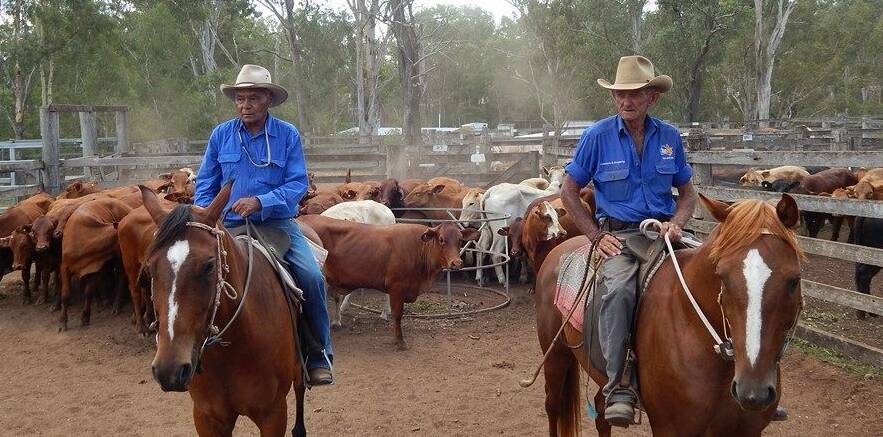 IN THE SADDLE: Eidsvold identities Ron Bligh and Ned Neumann are the boss drovers for the Eidsvold Historic Charity Drive in April. 