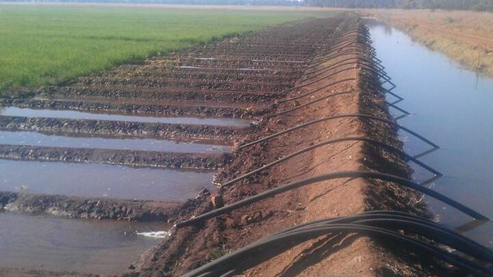 Marshlands features 160ha of flood irrigation.