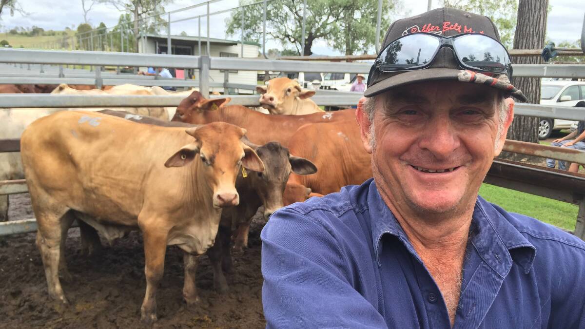 SALE TOPPERS: Bruce Harvey, Sleepy Hollow, Mount Beppo, and his Charolais/Droughtmaster-cross steers which sold for $1460/head at the Toogoolawah cattle sale. 