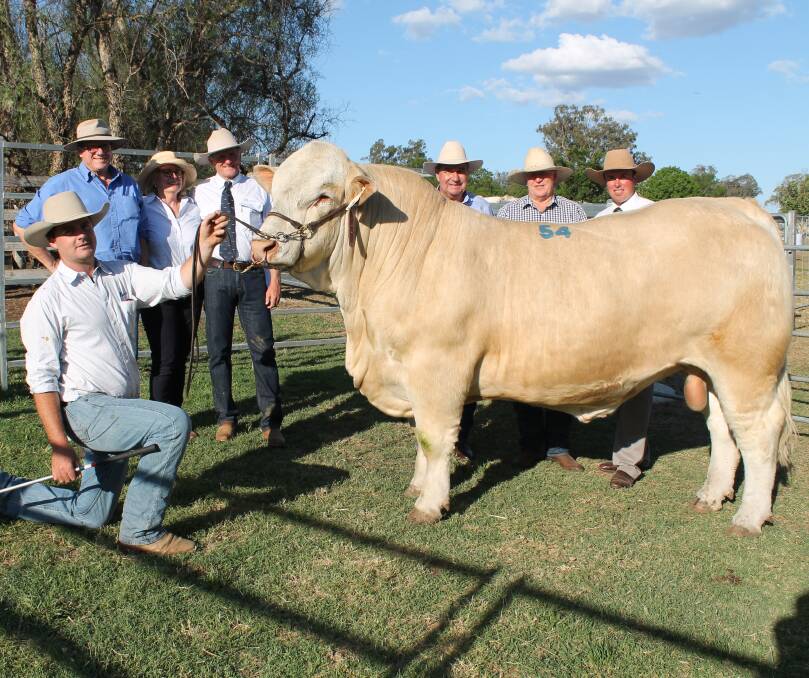 SALE TOPPER: Cameron Holliss and Ascot Juggernaut, Nick Mather, Manumbar Pastoral, Jim Wedge and Jackie Chard, Ascot, Warwick, Mike Wilson, Armidale, Miles Paterson, Manumbar Pastoral, and auctioneer Shad Bailey.