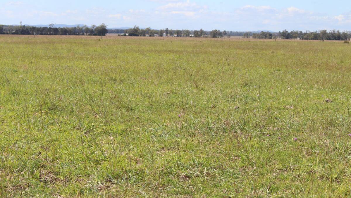 JUNE 2 AUCTION: The Millmerran farming and grazing property Du Hallow covers 381 hectares.