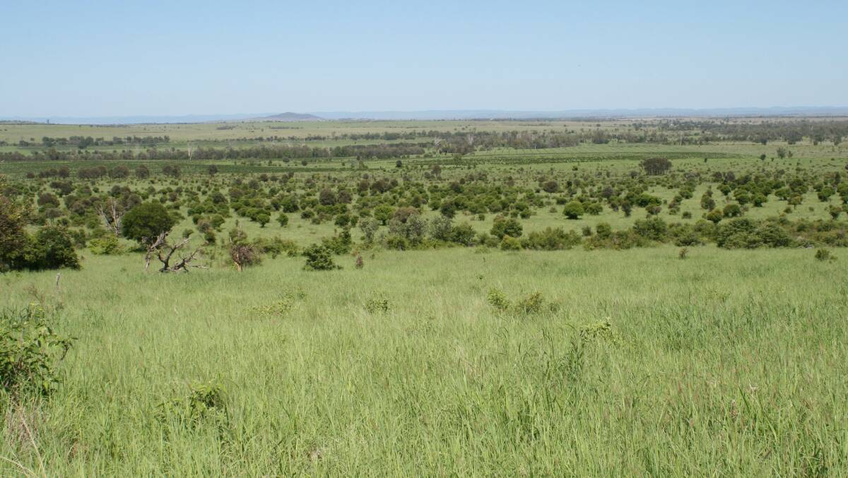 Old Delargum is located 70km south west of Moura and covers 3207 hectares.