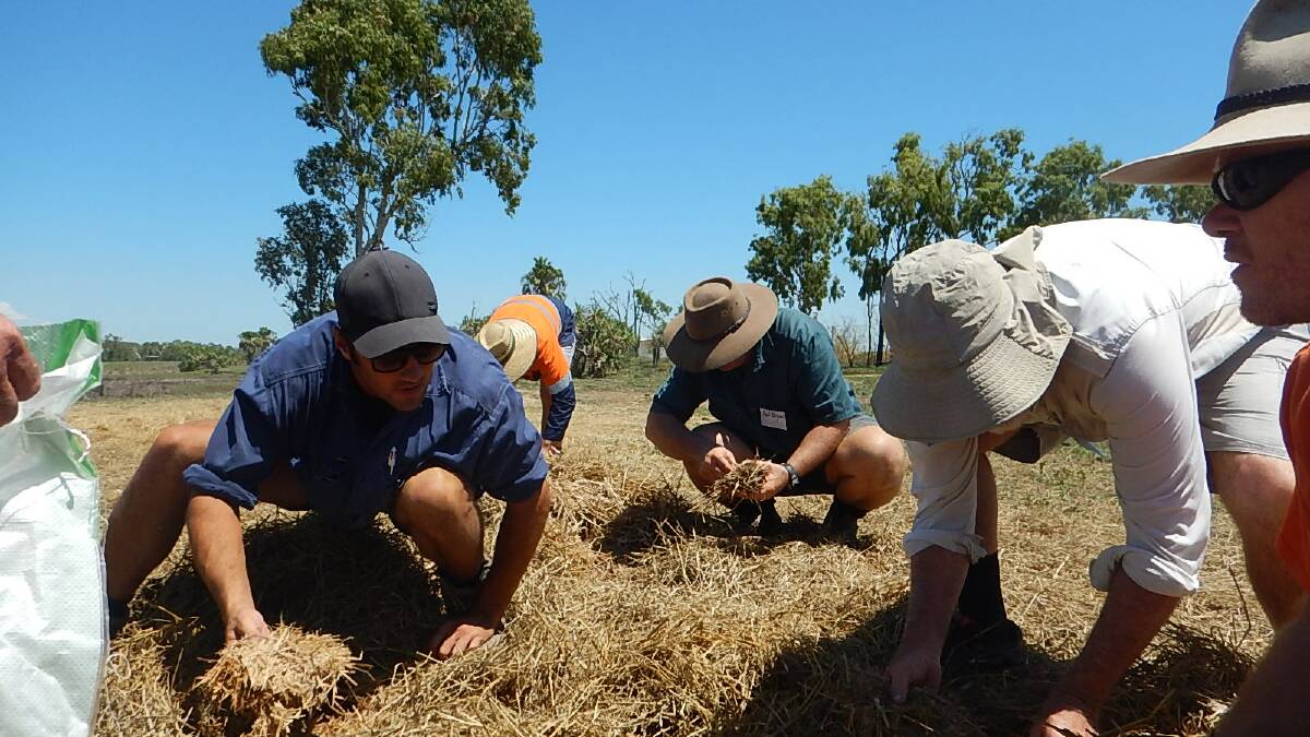 Home Hill cane farmer Mark Vass works with other farmers to collect native microbes for the fertiliser brew.