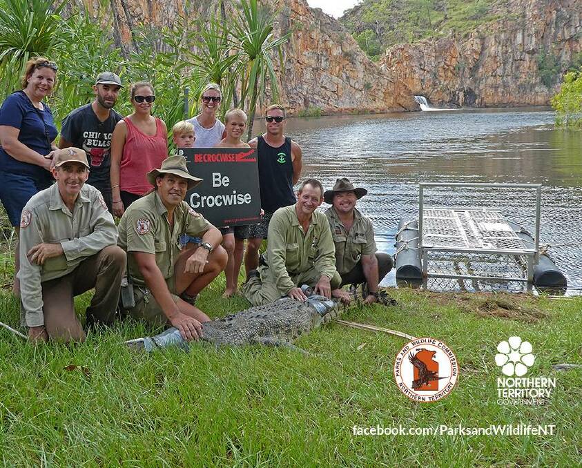 The crocodile snared at Leliyn Falls earlier this year. Picture: Parks and Wildlife NT.