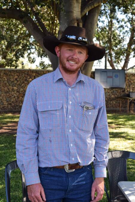 Volume buyer Roland Everingham from Oak Park Brahmans had his eye firmly set on the three-in-one cow and calf units on Friday morning. 