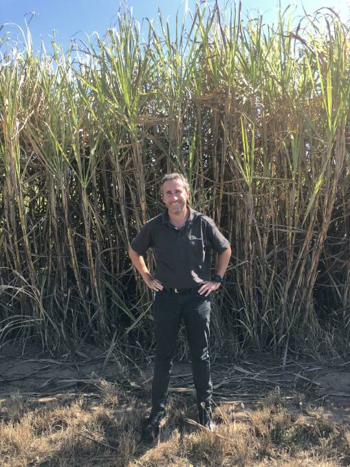 Canegrowers CEO Dan Galligan is positive about the potential opportunity this could provide for cane producers going forward.