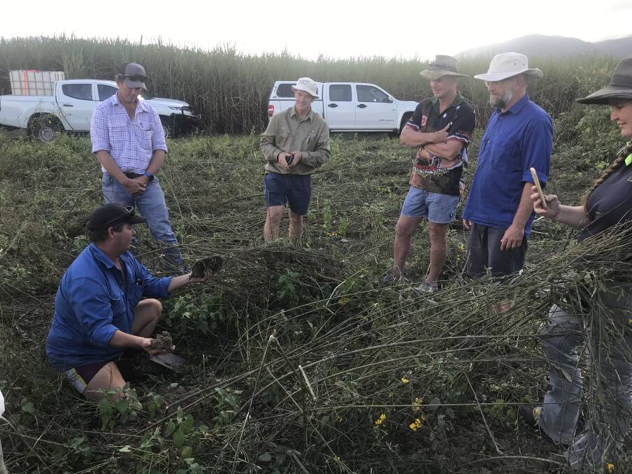 Growing confidence - Tully farmers gather to discuss soil health and regenerative farming practices.