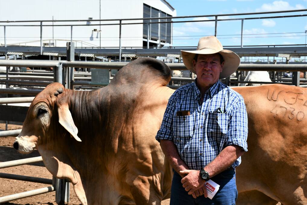 Local producer John Turley was one of the largest volume buyers in the Gold City sale, purchasing a total of 12 bulls for a $4333 average.