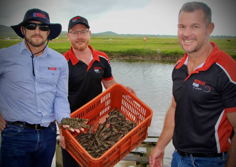 Richard Smullen, Ridley customer solutions manager, Tony Charles, Australian Prawn Farms senior manager research and biosecurity, and Matt West, Australian Prawn Farms general manager.
