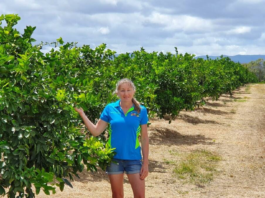 Karen Muccignat, Mutchilba lime grower of 32 years.