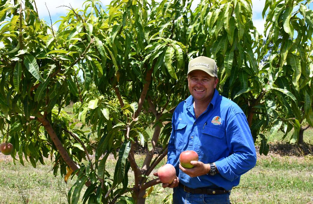 Brad Bowen, Sandy Cove Mango Plantation, west of Ayr, encourages consumers to eat plenty of mangoes this season.