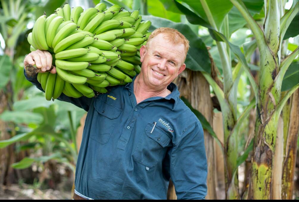 Mackays- Australia's largest individual producer of bananas