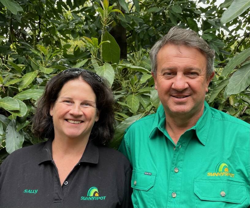 TOUGH YEAR: Sunnyspot Farms directors Sally and Daryl Boardman say oversupply and lockdowns are creating 'the perfect storm' for poor avocado returns. Photo: Supplied.