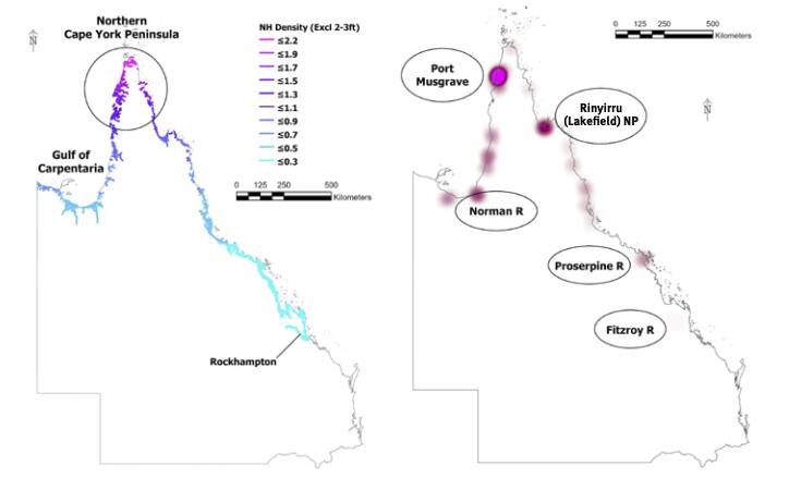Left: Crocodile densities are highest in northern Cape York Peninsula and decline southward. Right: The far northwest of CYP contains 40pc of the population, while Rinyirru (Lakefield) National Park and the Norman River are also key areas for nesting and recruitment. The Proserpine River has the highest density of any river in Queensland 5.5/
km, while the Fitzroy River represents the southern-most breeding population. Source: DES.