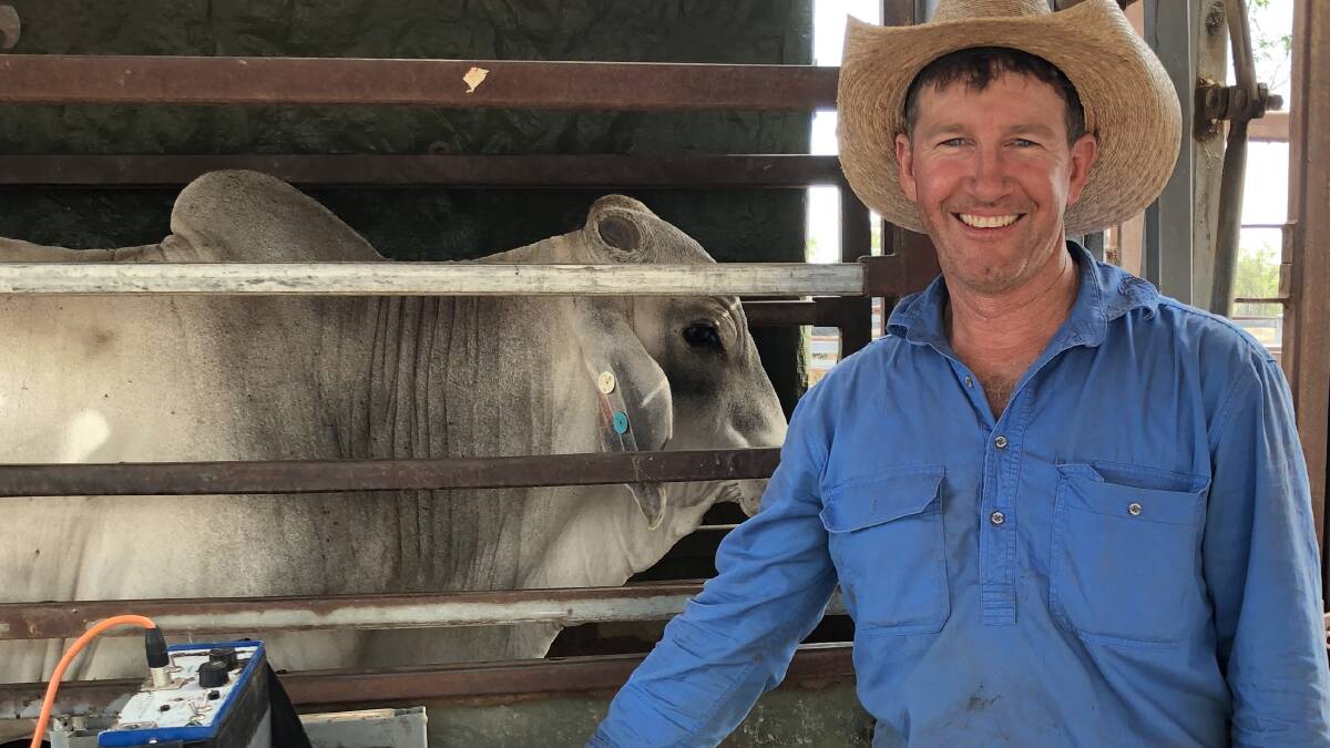Charters Towers grazier Michael Lyons. Picture file