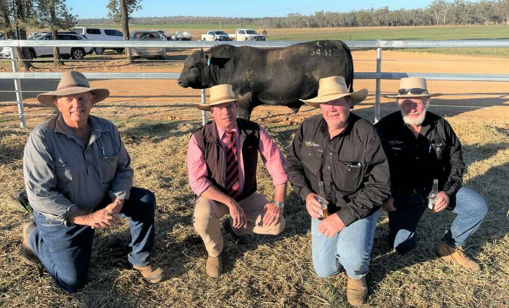 Glen McKinlay, Callandoon Angus, Springsure, Qld, Elders stud stock manager Mike Smith and Brett and Hugh Guest, Clunie Range Angus, Wallangra, with the $65,000 top-priced bull. Picture by Simon Chamberlain.
