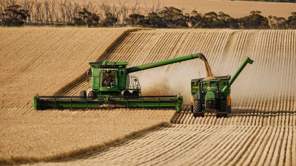 Australia's biggest grain grower revealed