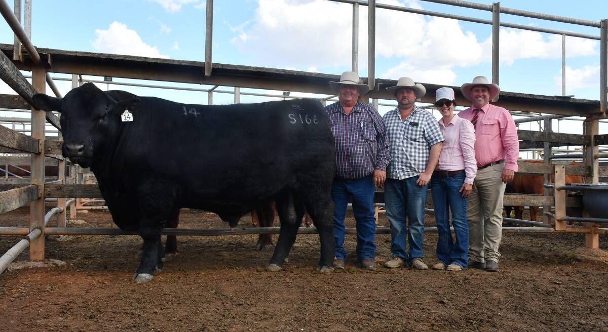 The top-priced bull, K5X Satellite, with Stephen Hayward, Dylan Scott, Steph Nichol, and Anthony Ball, Elders. Pictures: Clare Adcock