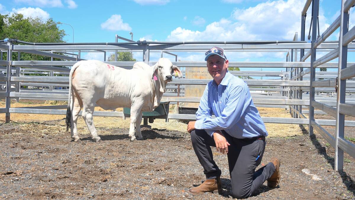 The top selling grey heifer, EL JA Princess Di Manso, with buyer David Joyce, Tropical Cattle Co.