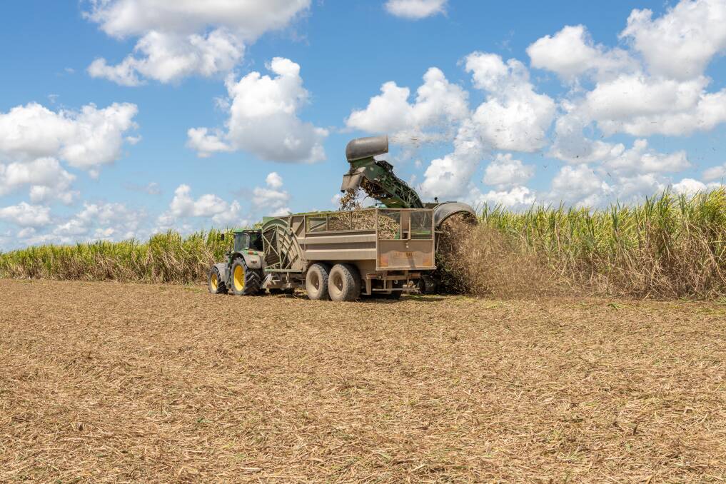 Wilmar Sugar has revised their total crop estimate due to in-season growth in the Herbert and Proserpine regions. Picture by Zoe Thomas. 