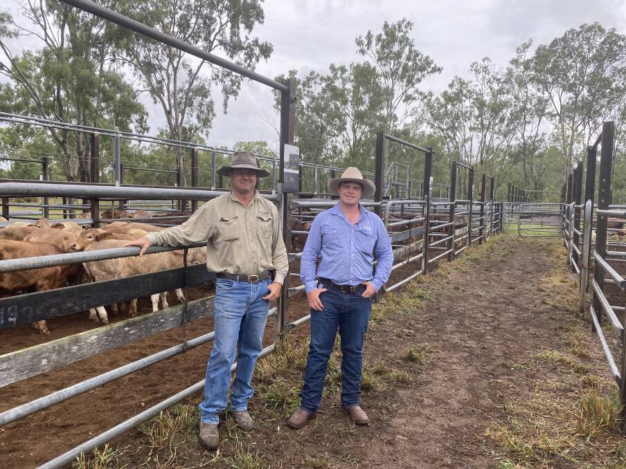 Ben Michelmore of Fort Cooper, Nebo with GDL Rockhampton and Mackay agent Will Conachan. The Michelmore family offered 105 weaner steers and 43 weaner heifers in the Nebo yarding. Photo supplied. 