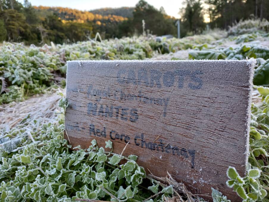 Images of frost at the permaculture operation. Picture: HillBilly Farm Co. 