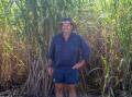 Burdekin-based sugarcane grower Owen Menkens has been elected as the new Canegrowers chairman. Picture: Zoe Thomas. 
