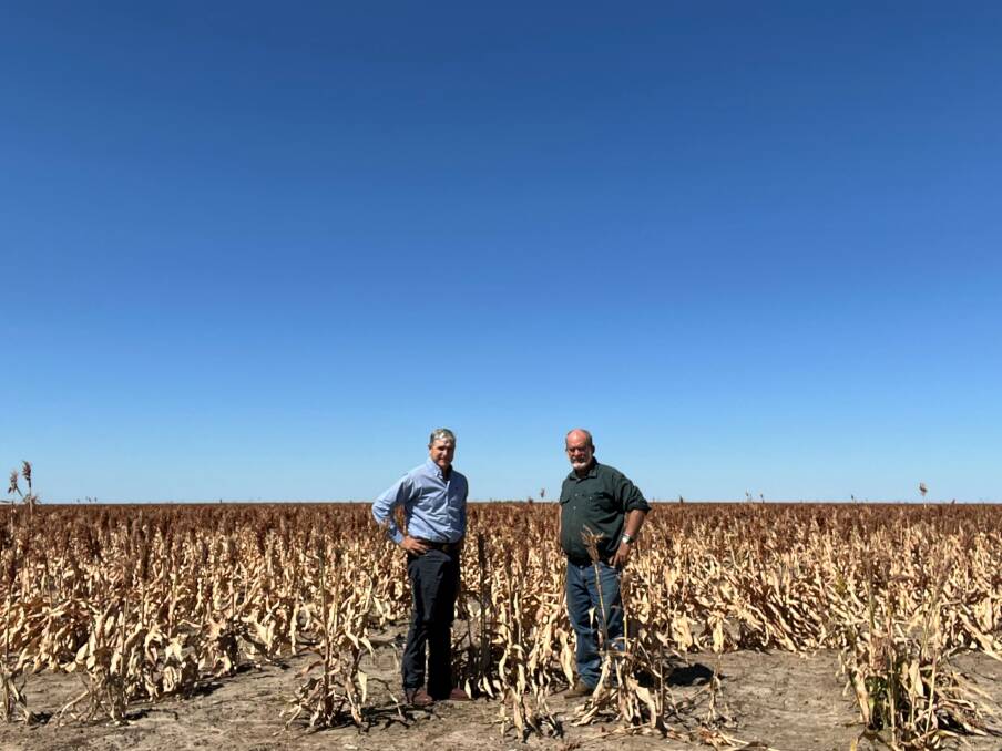 Member for Traeger and Katter's Australian Party Leader Robbie Katter and Burketown producer Ernie Camp at Floraville Station where sorghum harvesting began earlier this month. Picture: Katter's Australian Party. 