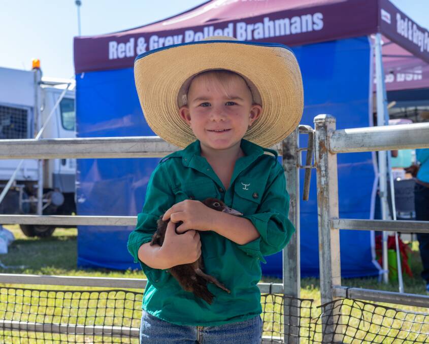 Mason Coward from Hughenden enjoyed the petting zoo at the Hughenden Show last weekend. Picture: Zoe Thomas. 