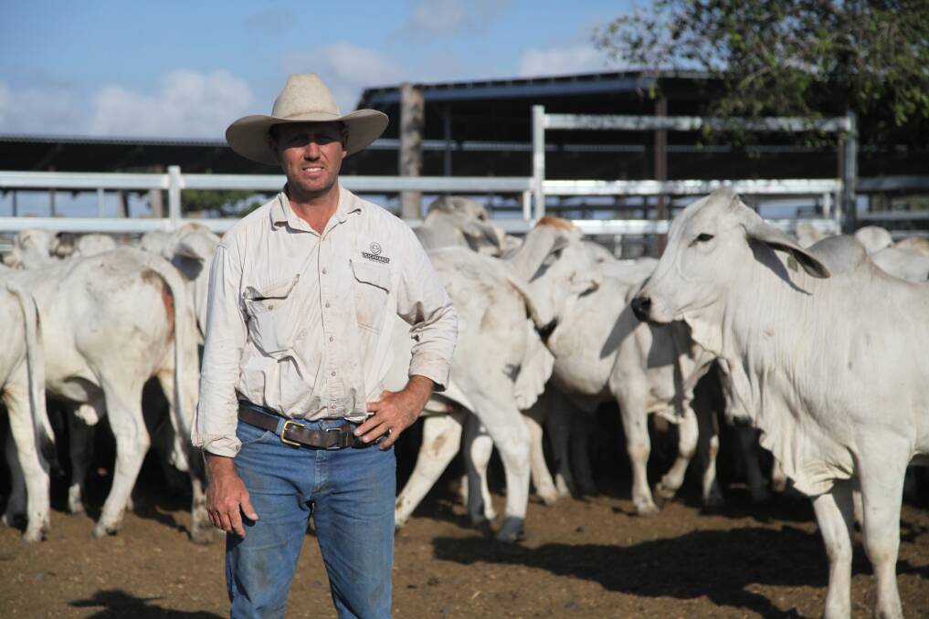 Stewart Borg is maximising pain relief within his herd to achieve the farming trifecta of prioritised animal welfare, process efficiencies and valuing adding to his operation through a return on investment. Picture: Dechra. 