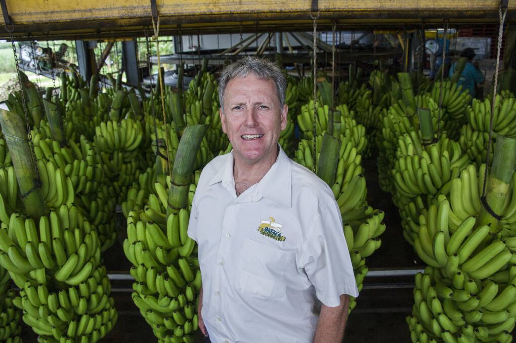 Australian Banana Growers' Council CEO Jim Pekin to retire after 11 years in the role. Picture: Australian Banana Growers' Council. 