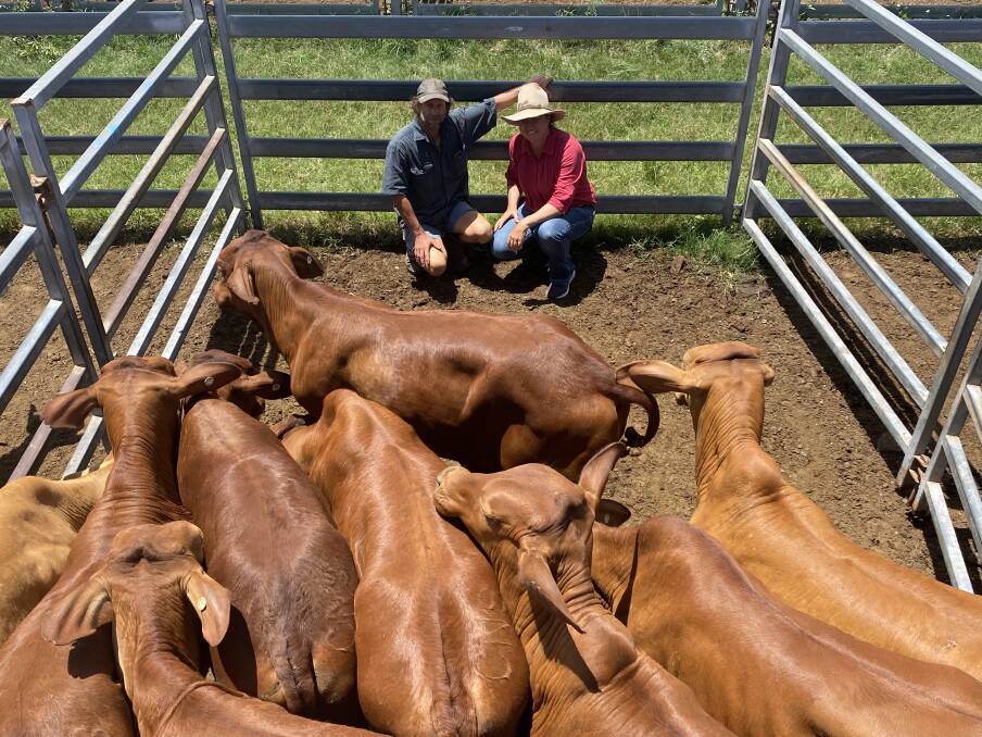 Mark and Linda Deguara, Mia Mia offloaded a line of Droughtmaster weaner steers, which fetched $1460 per head. Picture supplied by Tony Dwyer. 