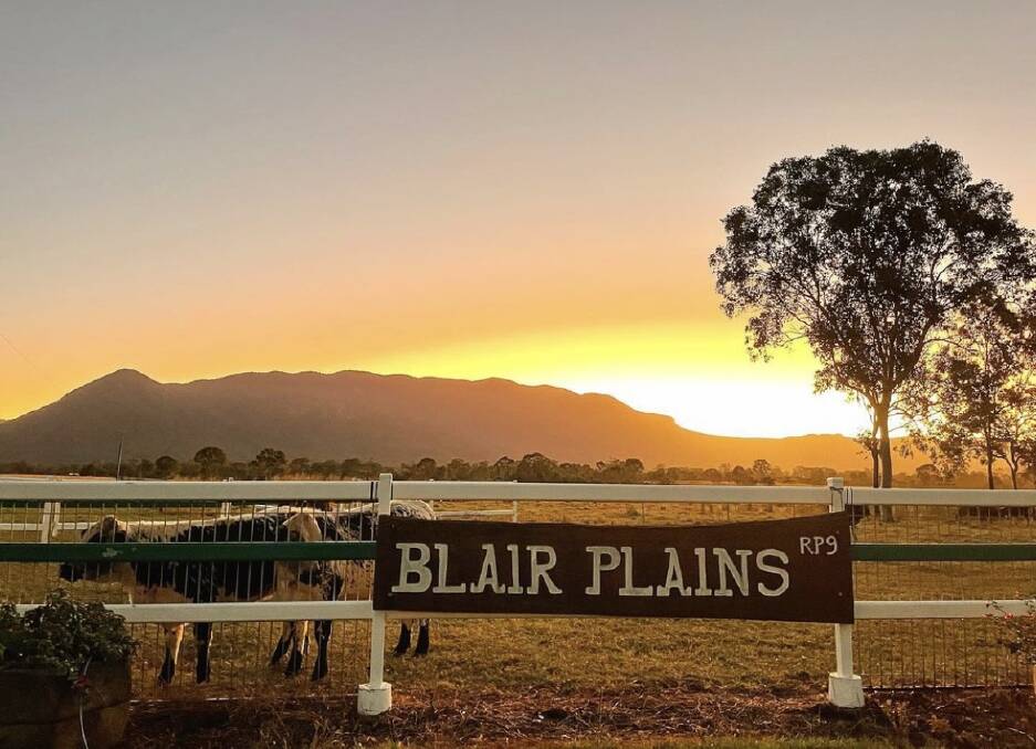 Travis is based at Blair Plains in the foothills of Blue Mountain in the Sarina Range region. Photo: Travis Parry. 
