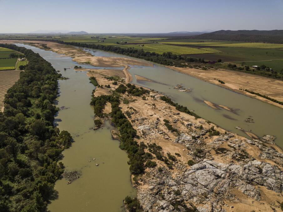 Water samples were taken from the lower Burdekin River, which confirmed the presence of the species at many sites along the river. Photo: NESP Northern Australia Environmental Resources Hub.