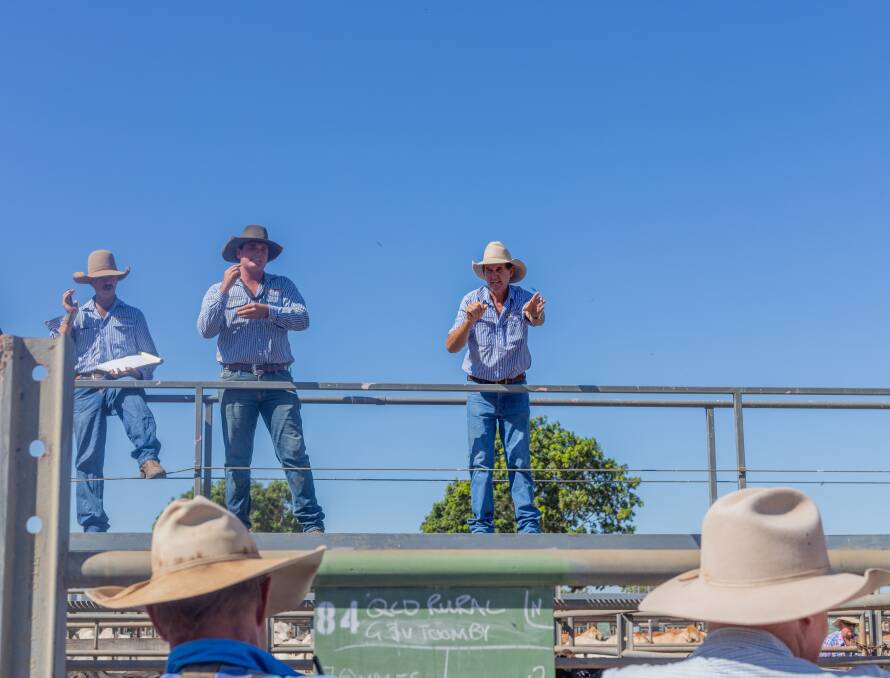 Jacko Shephard of Queensland Rural, seen here with fellow agents Harry Clayton and Dustyn Fitzgerald, has hung up his hat to slow down and return to his passions. Photo: Zoe Thomas. 